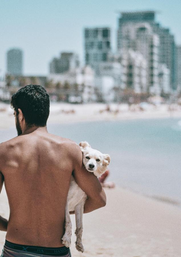 Bugrashov Beach Studios Tel-Aviv Extérieur photo